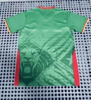 Camerún local 2025 - Imagen 2