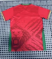 Camerún visitante 2025 - Imagen 2