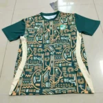 Costa de Marfil prepartido 2025