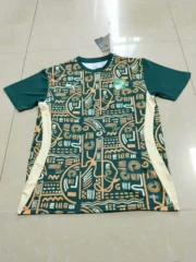 Costa de Marfil prepartido 2025