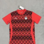 Egipto prepartido 2025