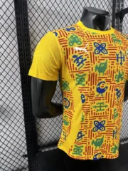 Ghana prepartido 2025 versión jugador - Imagen 5
