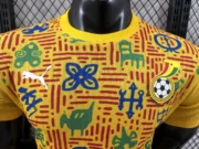 Ghana prepartido 2025 versión jugador - Imagen 9