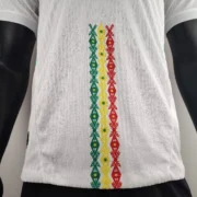 Senegal local 2025 versión jugador - Imagen 3