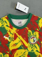 Senegal prepartido 2025 - Imagen 3