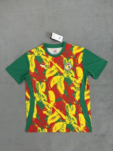 Senegal prepartido 2025