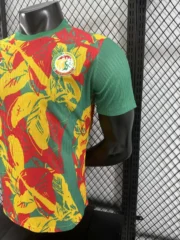 Senegal prepartido 2025 versión jugador - Imagen 4