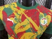 Senegal prepartido 2025 versión jugador - Imagen 5