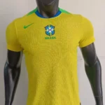 Brasil local 2025 versión jugador