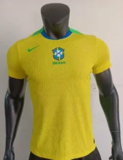 Brasil local 2025 versión jugador