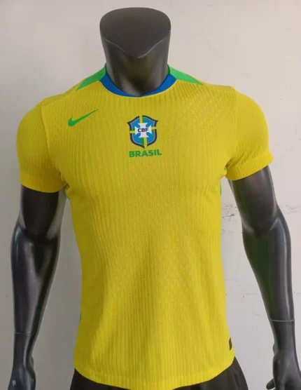 Brasil local 2025 versión jugador