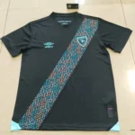 Guatemala alternativa 2025