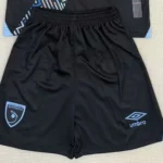 Short Guatemala alternativa 2025