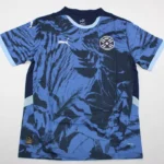 Paraguay visitante 2025