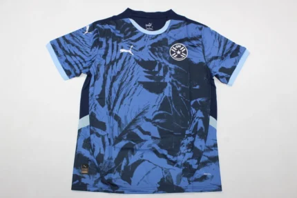 Paraguay visitante 2025