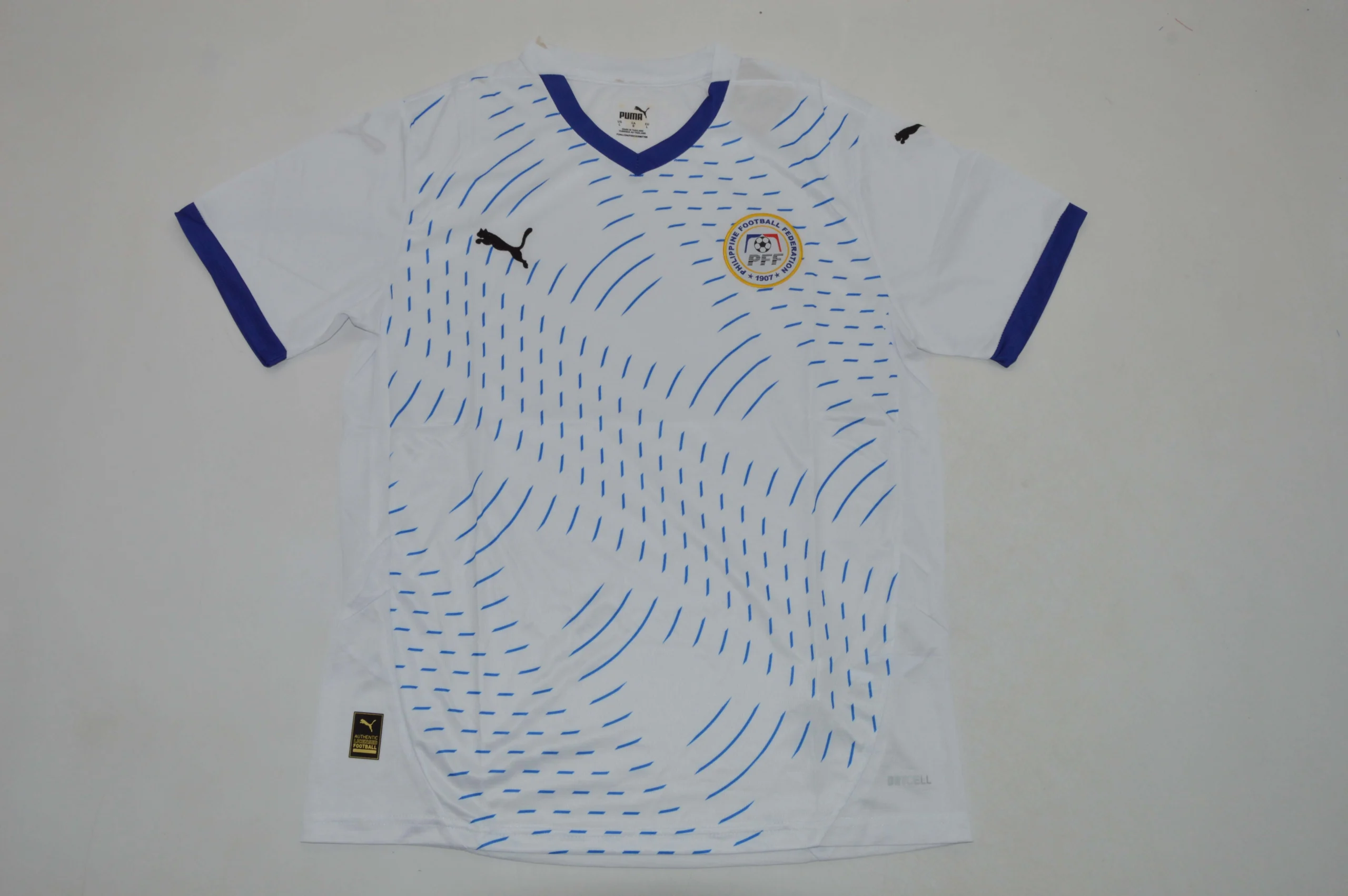 a Filipinas visitante 2025 - Imagen 1