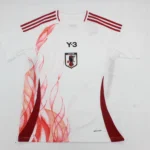 Japón visitante 2025