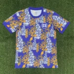 El Salvador prepartido 2025