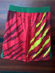 Short Camerún visitante 2025 - Imagen 2