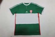 Palmeiras retro 14/15 alternativa