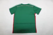 Palmeiras retro 14/15 alternativa - Imagen 6