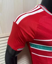 Gales local 2026 versión jugador - Imagen 5