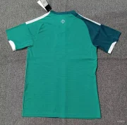 Irlanda del Norte local 2026 versión jugador - Imagen 3