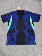 Brasil visitante 2026 - Imagen 4