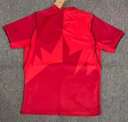 Canadá local 2026 - Imagen 2