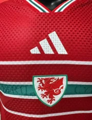 Gales local 2026 versión jugador - Imagen 4