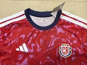 Costa Rica local 2026 - Imagen 2