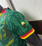 Camerún local 2026 versión jugador - Imagen 4