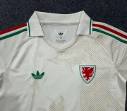 Gales visitante 2026 - Imagen 2