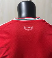 Gales local 2026 versión jugador - Imagen 3