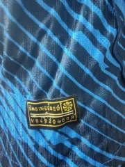 Francia local 2026 versión jugador - Imagen 5