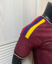 Venezuela local 2026 versión jugador - Imagen 3