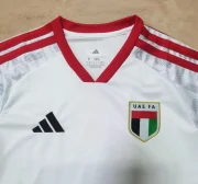 Emiratos Árabes local 2026 - Imagen 2