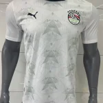 Egipto visitante 2026