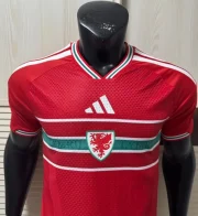 Gales local 2026 versión jugador - Imagen 6