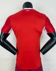 Suiza local 2026 versión jugador - Imagen 8