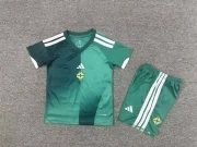 Kit de niño Irlanda del Norte local 2026