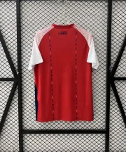 Haití alternativa 2026 - Imagen 5