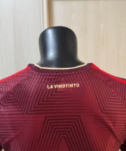 Venezuela local 2026 versión jugador - Imagen 7