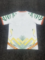 Mali local 2026 - Imagen 2