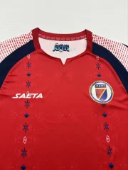 Haití alternativa 2026 - Imagen 2