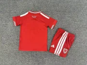 Kit de niño Gales local 2026 - Imagen 2