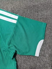 Irlanda del Norte local 2026 versión jugador - Imagen 2