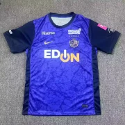 Sanfrecce Hiroshima local 26/27