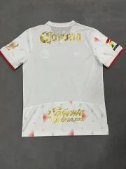 Toluca visitante 25/26 - Imagen 3