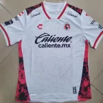 Tijuana visitante 25/26 versión jugador